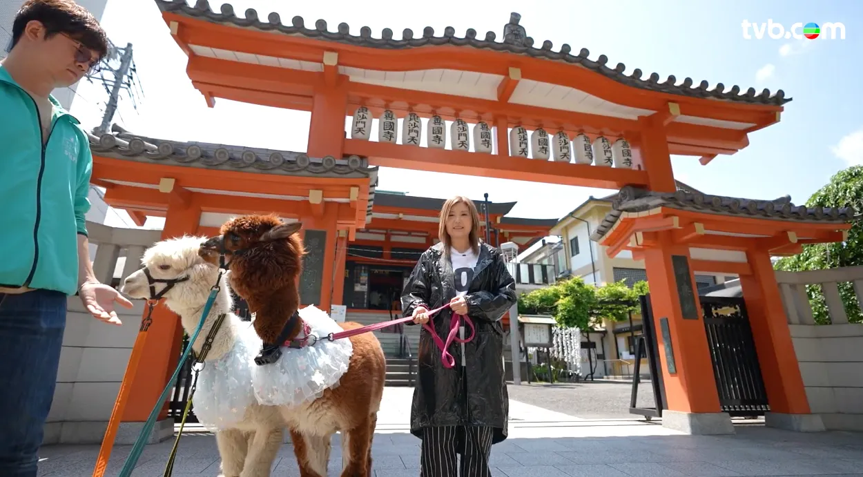 《解風東京2》每集景點行程介紹|必試美食/文青景點/特色酒店