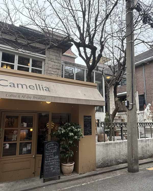 首爾Cafe 2025｜5間小眾咖啡店 黑膠碟任聽、治癒DIY烘吐司 