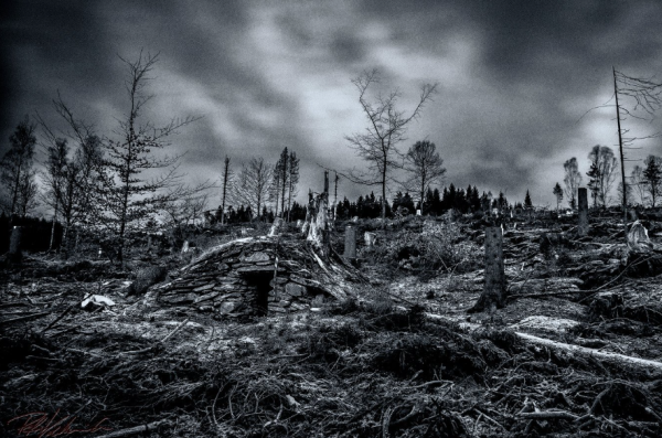 盲眼龍婆預言8月再有國際性災難？過去曾精準預測911事件/俄烏戰爭！ 