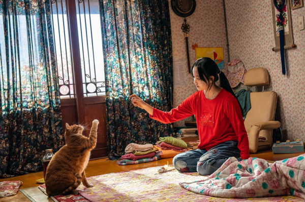 調教我的喪屍女兒電影上映（圖片來源：IG@itsnew_movie）