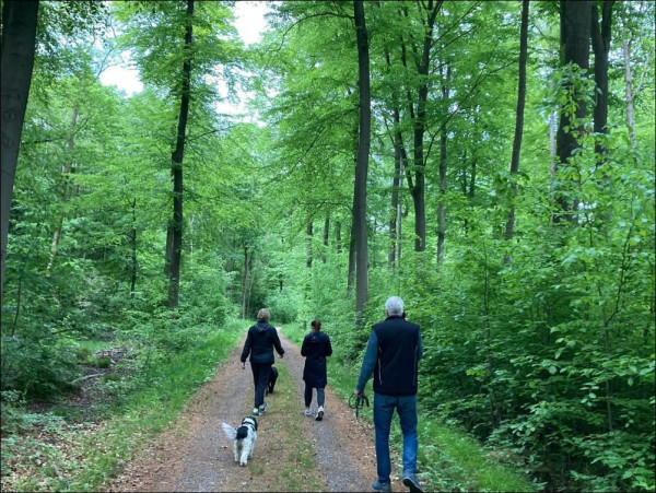 【真AirDrop】iPhone 跌出飛機竟完好無損 全靠呢個手機殼