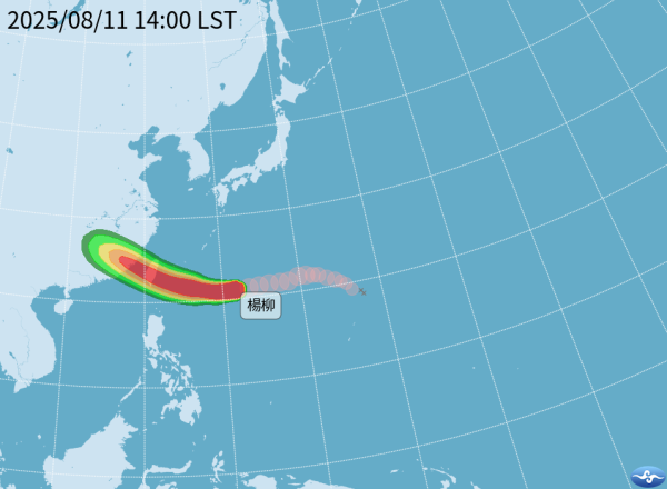 打風｜楊柳升格「颱風」最新4大重點威脅性高？專家：結構扎實有增強趨勢