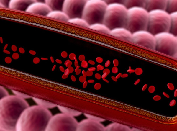 傷血管習慣3個恐加速血管老化兼高血壓　醫生推薦血管逆齡7食物