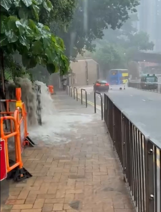 美食博覽2025｜網民回帶美食節搞笑片段 重溫經典「你個嘢壞咗啊」 網民熱議：仲係咁好笑