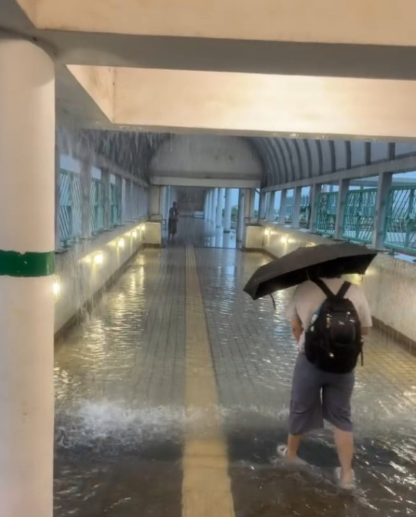 美食博覽2025｜網民回帶美食節搞笑片段 重溫經典「你個嘢壞咗啊」 網民熱議：仲係咁好笑