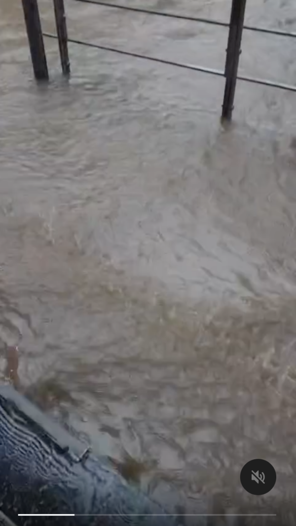 暴雨襲港 嚴重水浸加海水倒灌 網民：水街變真水街