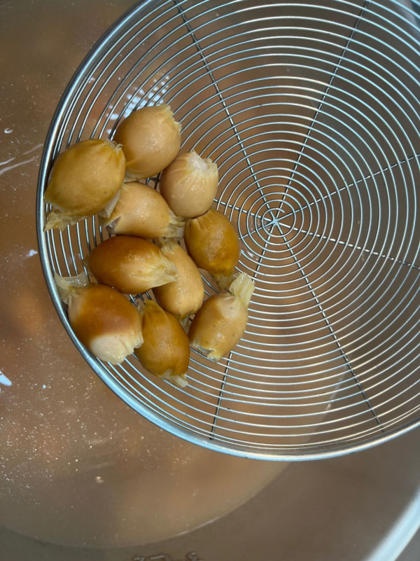 美食博覽