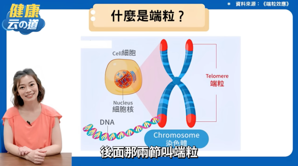 台灣醫生端粒年齡逆齡6歲 公開養生三餐+4大逆齡飲食秘訣