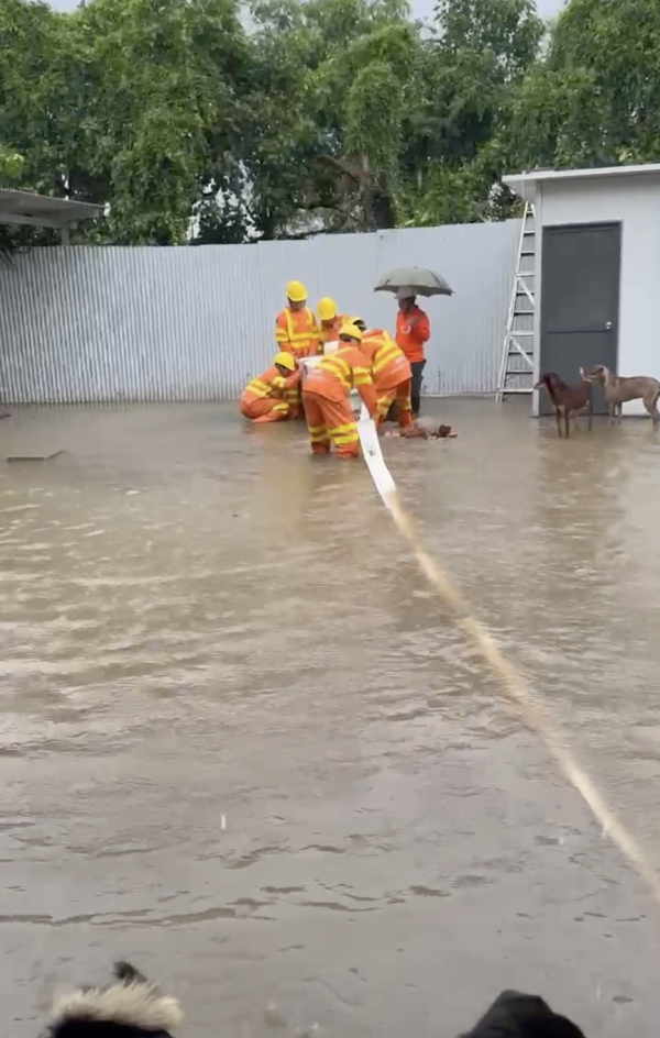 暴雨將狗舍變澤國 渠務署迅速援助160隻浸水狗狗 網民大讚窩心並慷慨捐款