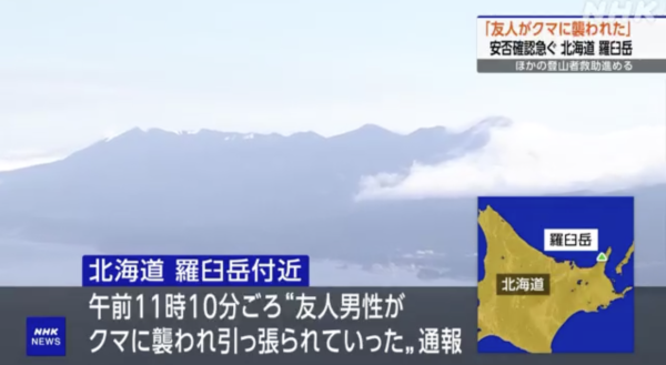 日本各地頻傳棕熊出沒事件！東京釣客遭攻擊 北海道農田西瓜被啃食 