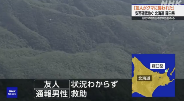 日本各地頻傳棕熊出沒事件！東京釣客遭攻擊 北海道農田西瓜被啃食 