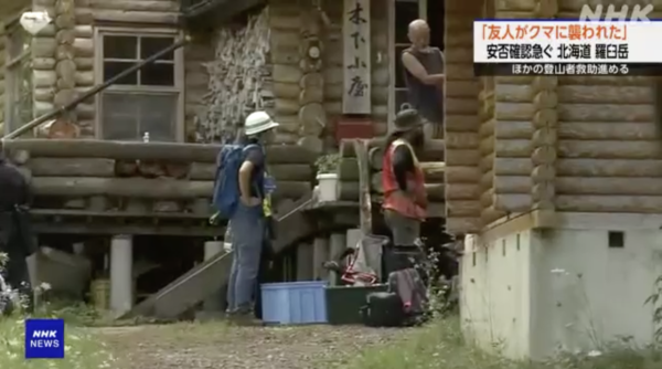 日本各地頻傳棕熊出沒事件！東京釣客遭攻擊 北海道農田西瓜被啃食 