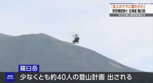 日本各地頻傳棕熊出沒事件！東京釣客遭攻擊 北海道農田西瓜被啃食 