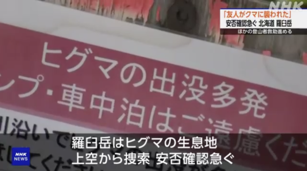 日本各地頻傳棕熊出沒事件！東京釣客遭攻擊 北海道農田西瓜被啃食 