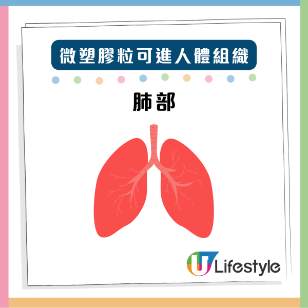 震驚！亞洲自來水微塑膠含量最高 專家教路簡單2招去除 90%