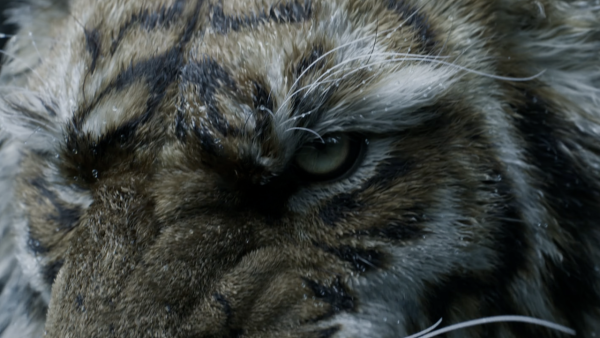 《黑神話：悟空》續作《黑神話：鍾馗》正式官宣 預告片震撼全球玩家