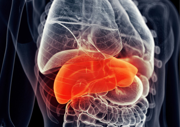 48歲男不煙不酒驚患末期肝硬化須換肝！醫生揭OO當水飲惹禍：肝臟萎縮剩1/3