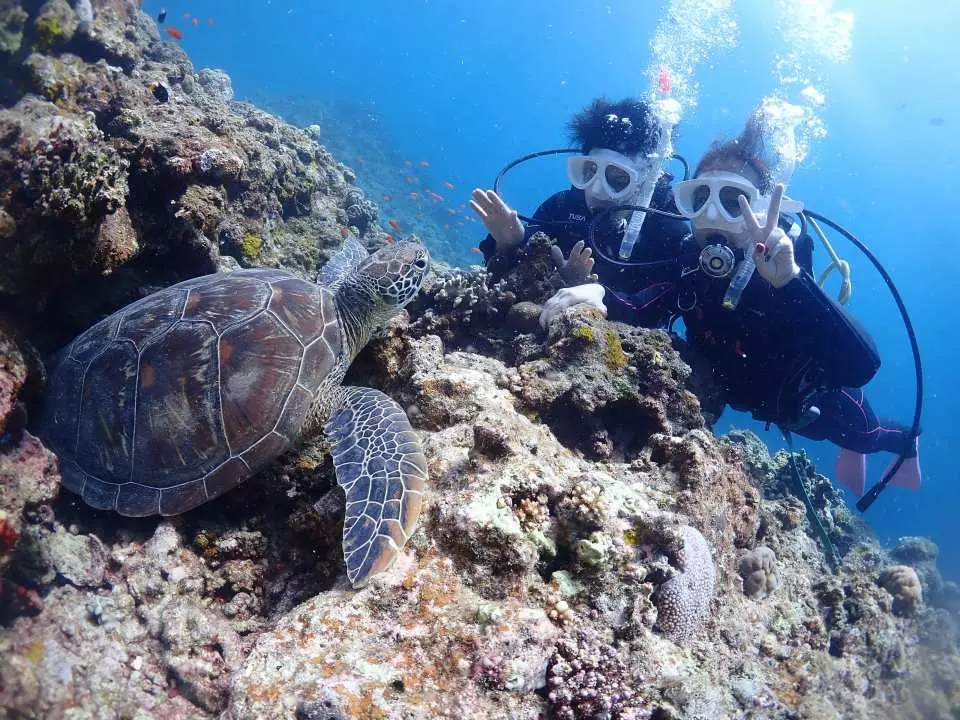 沖繩潛水推薦5地點必去︰青之洞窟/石垣島/萬座毛 附新手入門攻略 