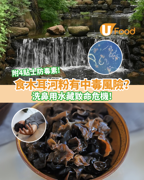 食木耳河粉有中毒風險？洗鼻用水藏致命危機！專家一次說清 附4貼士防毒素