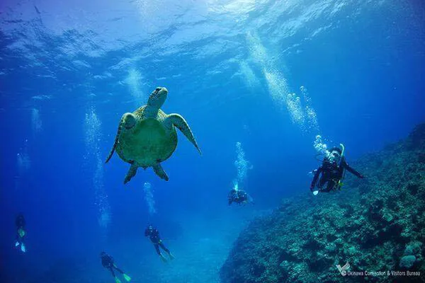 沖繩潛水推薦5地點必去︰青之洞窟/石垣島/萬座毛 附新手入門攻略 