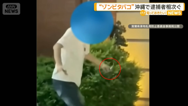 有片｜沖繩年輕人吸食「依托咪酯」情況嚴重！吸食後抽搐如同「喪屍」 推測貨源來自港台！ 