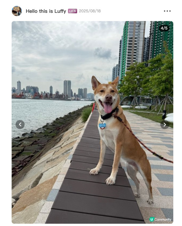 香港海濱公園好去處10+ 一文睇晒地址/設施/交通方式/開放時間！