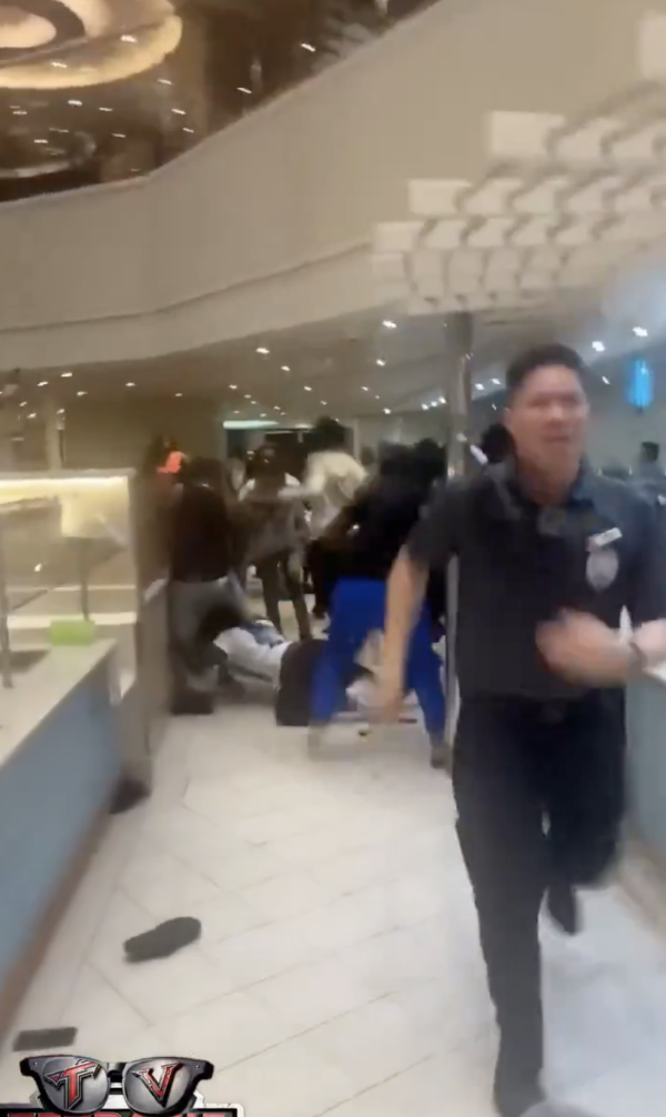 有片!20旅客凌晨郵輪MMA大亂鬥!導火線曝光 網友批原因荒唐:大開眼界