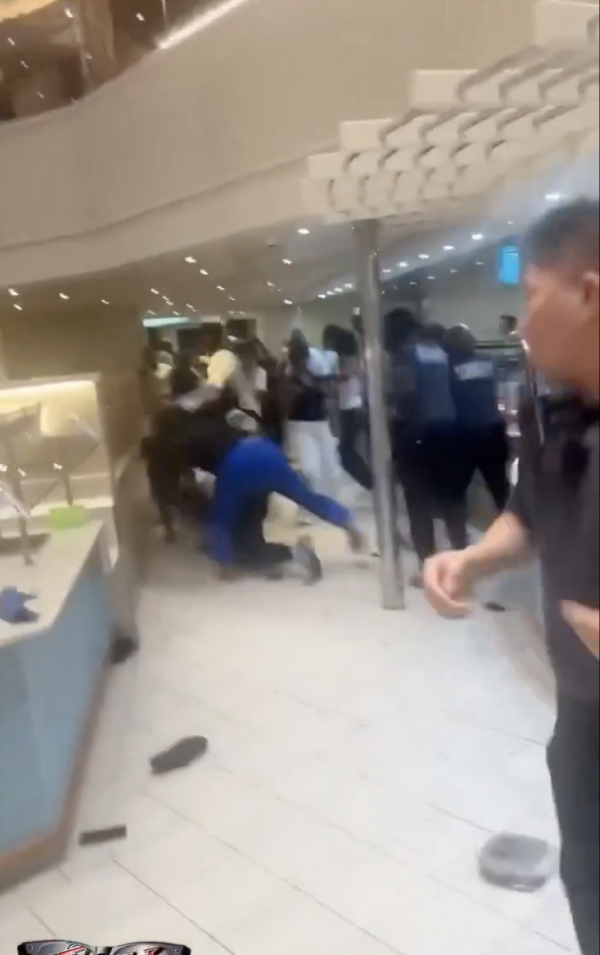 有片!20旅客凌晨郵輪MMA大亂鬥!導火線曝光 網友批原因荒唐:大開眼界