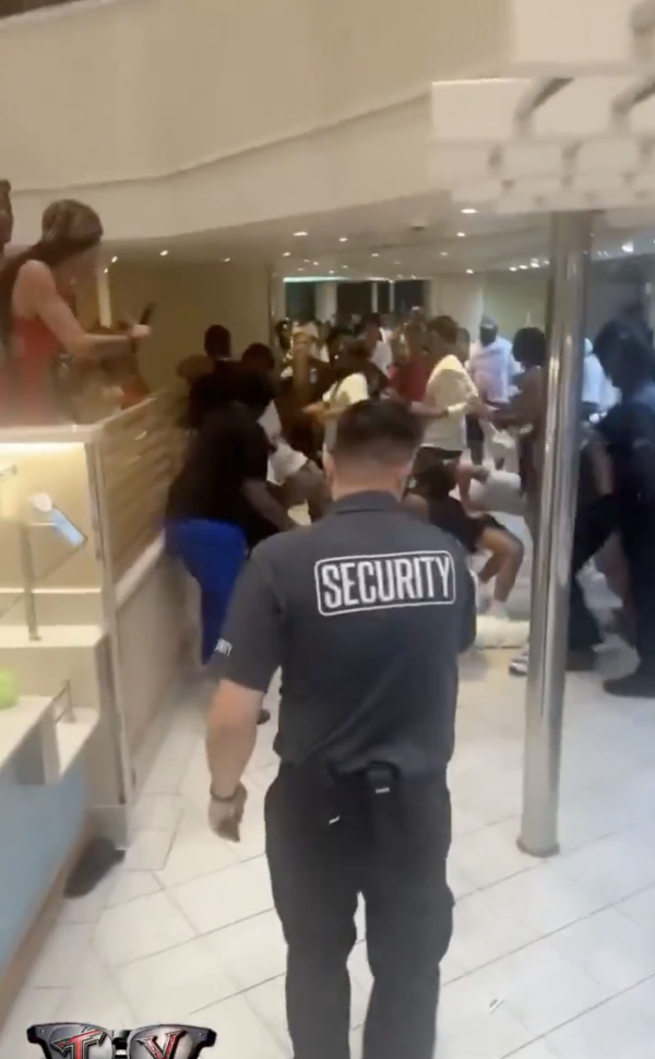 有片!20旅客凌晨郵輪MMA大亂鬥!導火線曝光 網友批原因荒唐:大開眼界