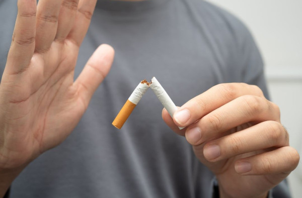 腦退化吃什麼好？日本精神科醫生分享防腦退化早餐 乳酪加3物助預防動脈硬化