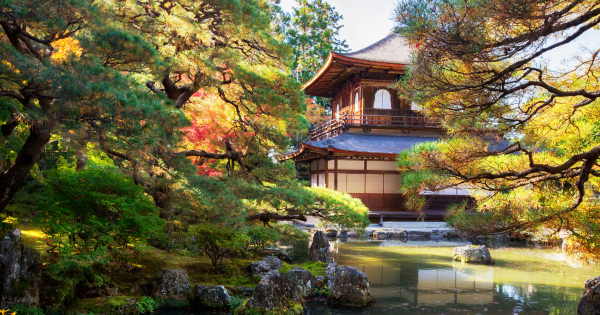 日本三大城市待客態度最差?達人建議轉遊這地:各方面都更好