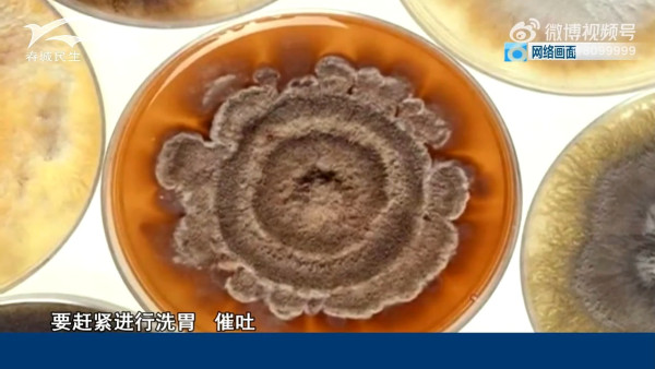 深圳夜市黑幕|路邊攤收檔食材變「老鼠自助餐」? 超噁心相片曝光 內媒揭3大衛生隱憂