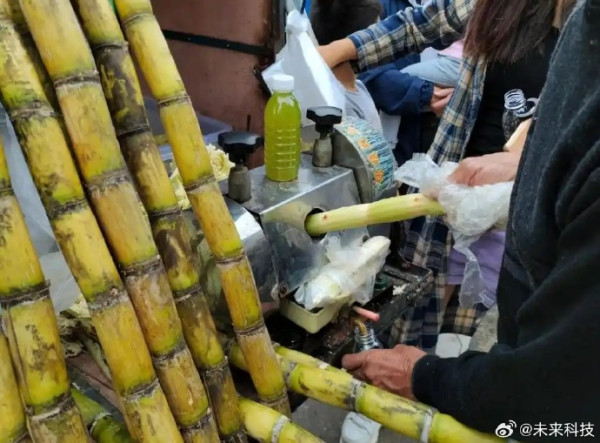 深圳夜市黑幕|路邊攤收檔食材變「老鼠自助餐」? 超噁心相片曝光 內媒揭3大衛生隱憂