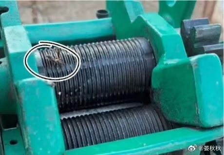 深圳夜市黑幕|路邊攤收檔食材變「老鼠自助餐」? 超噁心相片曝光 內媒揭3大衛生隱憂