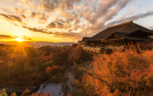 日本三大城市待客態度最差?達人建議轉遊這地:各方面都更好