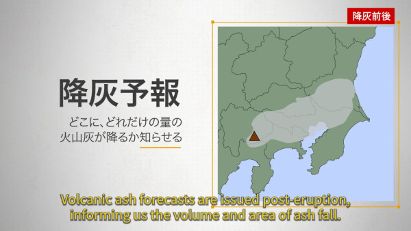 美洲巨型蟑螂侵襲東京市區！ 可單性繁殖抗毒藥 專家推測其擴散背後原因！ 
