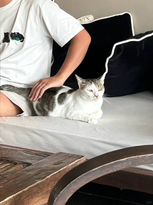 內地客遊峇里島遇猛鬼酒店 房間到處放滿一物 第二晚就發燒