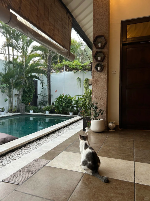 內地客遊峇里島遇猛鬼酒店 房間到處放滿一物 第二晚就發燒