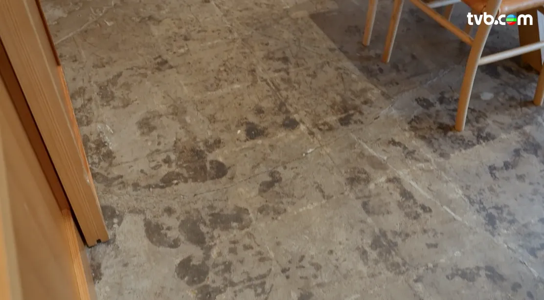 《解風東京2》每集景點行程介紹|必試美食/文青景點/特色酒店