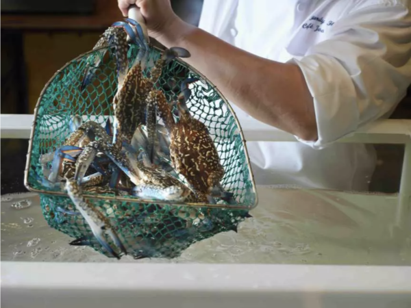 香格里拉自助餐買二送一  松葉蟹+醉蝦+大閘蟹+蟹黃粥