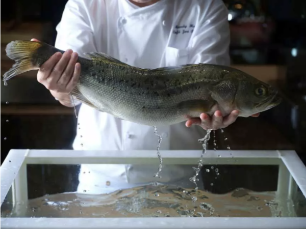 香格里拉自助餐買二送一  松葉蟹+醉蝦+大閘蟹+蟹黃粥