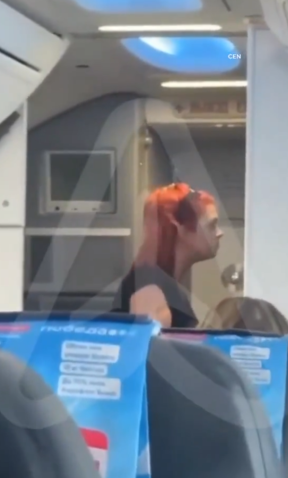 有片｜疑不滿被禁用手機狂打空姐頭臉！女乘客被制止後放聲狂笑無悔意 