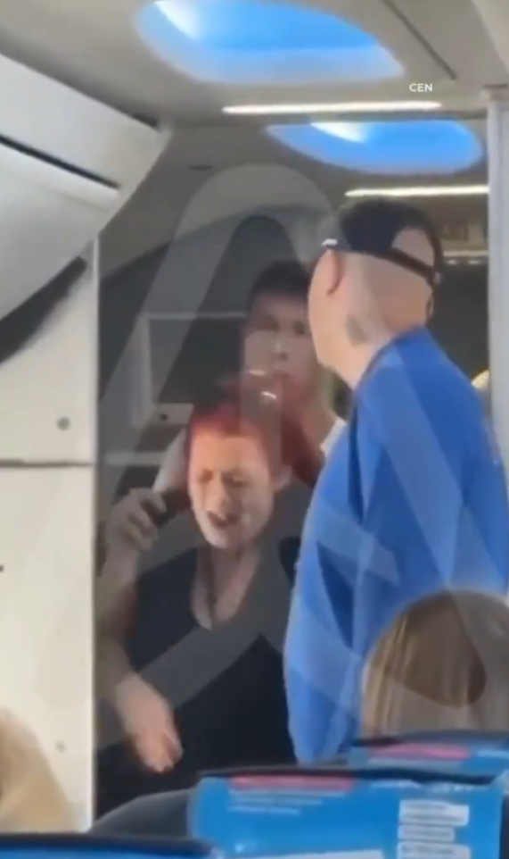 有片｜疑不滿被禁用手機狂打空姐頭臉！女乘客被制止後放聲狂笑無悔意 