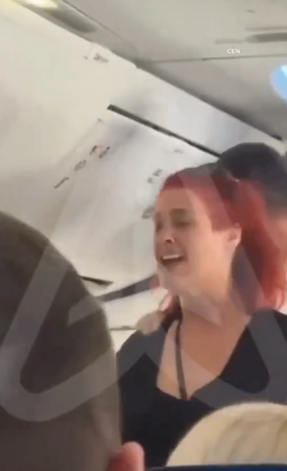 有片｜疑不滿被禁用手機狂打空姐頭臉！女乘客被制止後放聲狂笑無悔意 