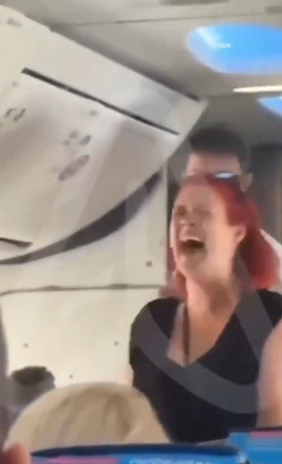 有片｜疑不滿被禁用手機狂打空姐頭臉！女乘客被制止後放聲狂笑無悔意 