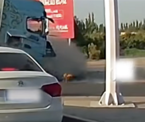 Tesla重大意外 大貨車高速撞擊Model Y 車主保命全靠...