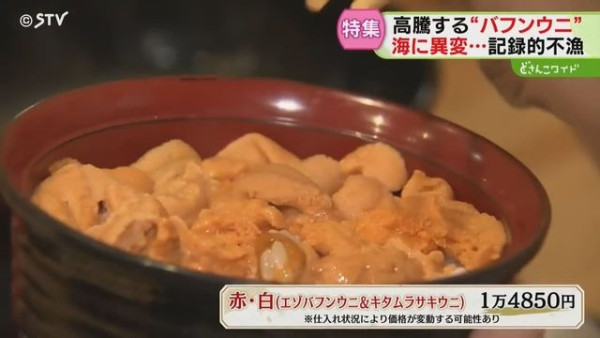 日本高溫天氣令北海道海膽減產！馬糞海膽蓋飯一碗最高索價1.8萬日圓 