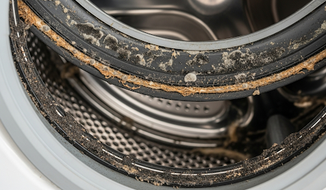 揭秘洗衣機「夾層地獄」一唔小心衣服越洗越髒【附專家清潔與使用建議】