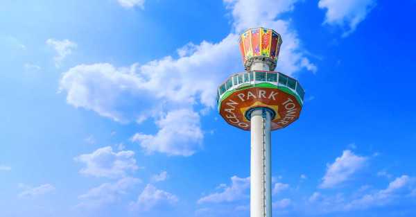 (圖片來源：海洋公園官網）