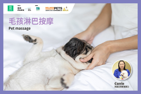 西沙GO PARK全新7大寵物工作坊！帶毛孩整月餅/人狗瑜珈/自製放狗袋